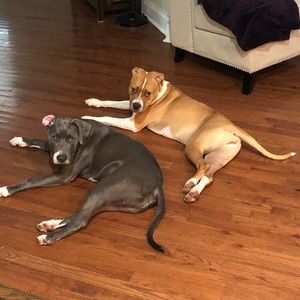 Meet your Posher, Coleman g.